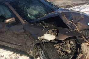 Авария дня. Водитель BMW нашел свой трухлявый пень
