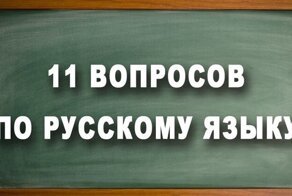 11 вопросов по русскому для проверки грамотности