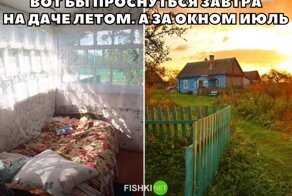 Прикольные картинки и другой юмор в конце недели