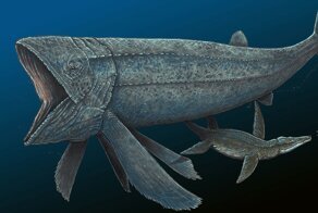 Лидсихтис: Вот она, рыба моей мечты! Доисторическая «селёдка», выраставшая в 16 метров длины!