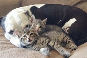 Пост о дружбе