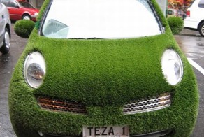 Дизайн от природы (43 фото)