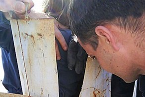 Киндер-Сюрприз довел до беды (7 фото)