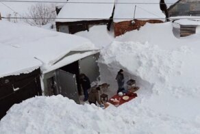 Прикольные фото и картинки