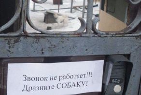 Маразмы и прикольные надписи (62 фото)
