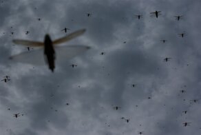 Полёт валькирий