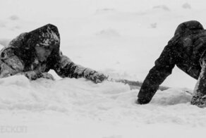 Лед на реке под школьниками провалился, но на помощь к людям вовремя пришёл волк