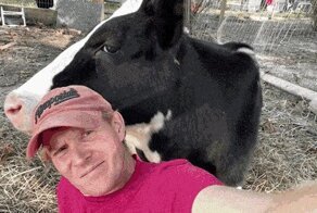 Гифки с телками