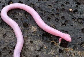 15 снимков, на которые стоит взглянуть даже умудренным опытом