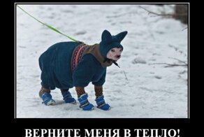 Свежие демотиваторы: социальные проблемы и гаджеты