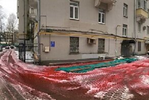 Красный снег, похожий на "кровавый снег" Антарктиды, изрядно удивил москвичей: видео