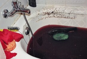 Труп испанской женщины в ванной