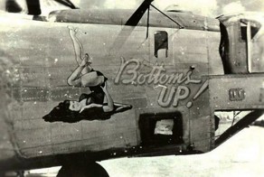 Пин-ап на самолетах  (14 фото)