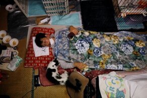 Японец остался жить рядом с "Фукусимой" ради чужих кошек