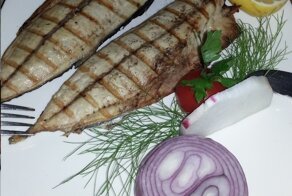 Мои командировки – Турция