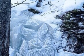 Лесничий в Монрепо создал к 8 Марта ледяные розы