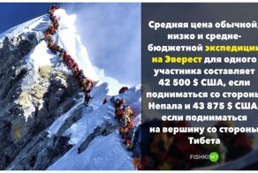 Сколько это стоит: 15 примеров цены на то, о чем мы мало думаем