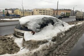 Русская весна: появляются первые городские подснежники