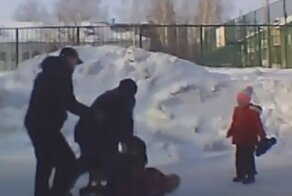 В Новосибирске двое мужчин спасли девочку из пасти бродячей собаки