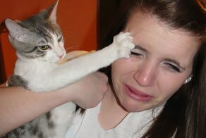 Котейки, которые ненавидят эти ваши дурацкие обнимашки