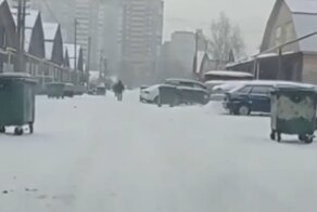 В российском городе цыгане украли все мусорные баки