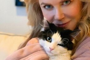 30 знаменитостей, которые обожают котеек