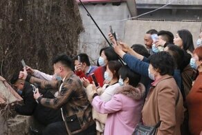 Фермер с лапшой по $0,46 стал интернет-знаменитостью и выручил всю деревню