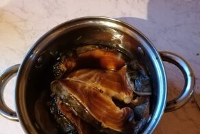 Просто вкусная рыба