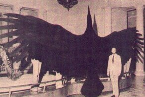 Спасибо, что вымерли: 10 жутких доисторических тварей