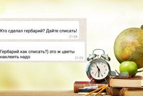 Филиал ада на земле, или наглядно о родительских чатах