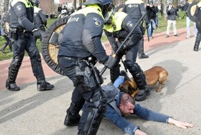 Это другое, это демократично