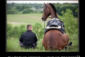 Жизненные и веселые демотиваторы