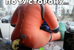 Смешные и познавательные картинки