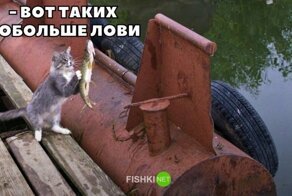 Смешные и познавательные картинки