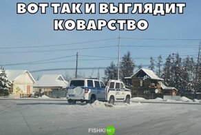 Подборка автомобильных приколов