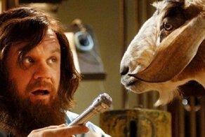 Коза на час и коробка от айфона на раз: самые бредовые арендные предложения