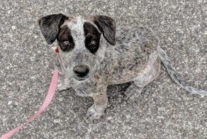 С добрым утром!