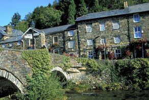 Ослеплённые перевозбуждением валлийские козлы почувствовали себя хозяевами улиц