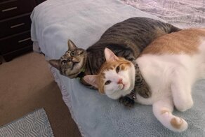 С добрым утром!