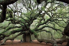 15 увлекательных фотографий необычных вещей