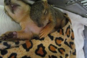 С добрым утром!