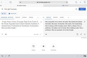Жительница Венгрии пожаловалась на сексистские алгоритмы Google Translate