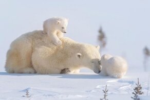 С добрым утром!