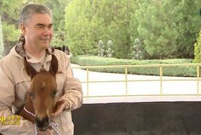 Президент Туркменистана обрадовался рождению жеребенка и написал новый хит