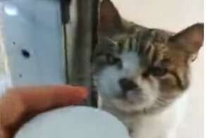 Постоянный клиент, которому всегда рады