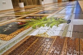 Немецкий энтузиаст пазлов собрал самую большую в мире головоломку