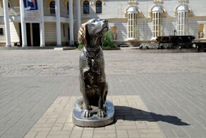 Белый Бим Черное Ухо: история о бесконечной собачьей преданности