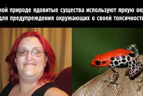 Пост о феминистках, который точно вызовет у мужененавистниц приступ ярости