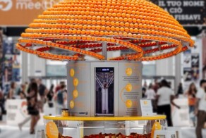 Апельсиновые корки - материал для создания чашек для сока