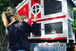 Женщина нашла на улице маленького зверька без родителей и решила ему помочь